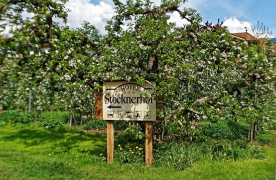 Hotel Stocknerhof*** - Naz-Sciaves