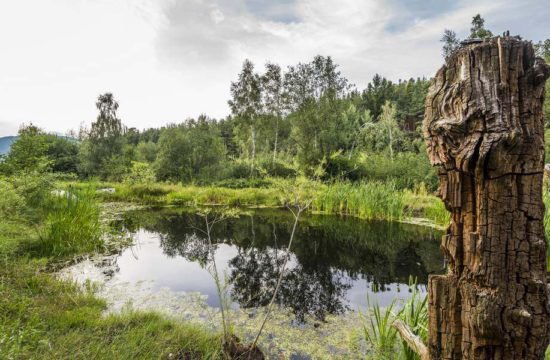 Ferienhotel Stocknerhof a Naz-Sciaves 26